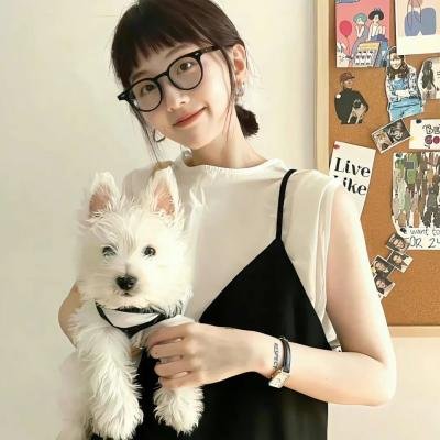 Chicken Rice War 鸡缘巧合